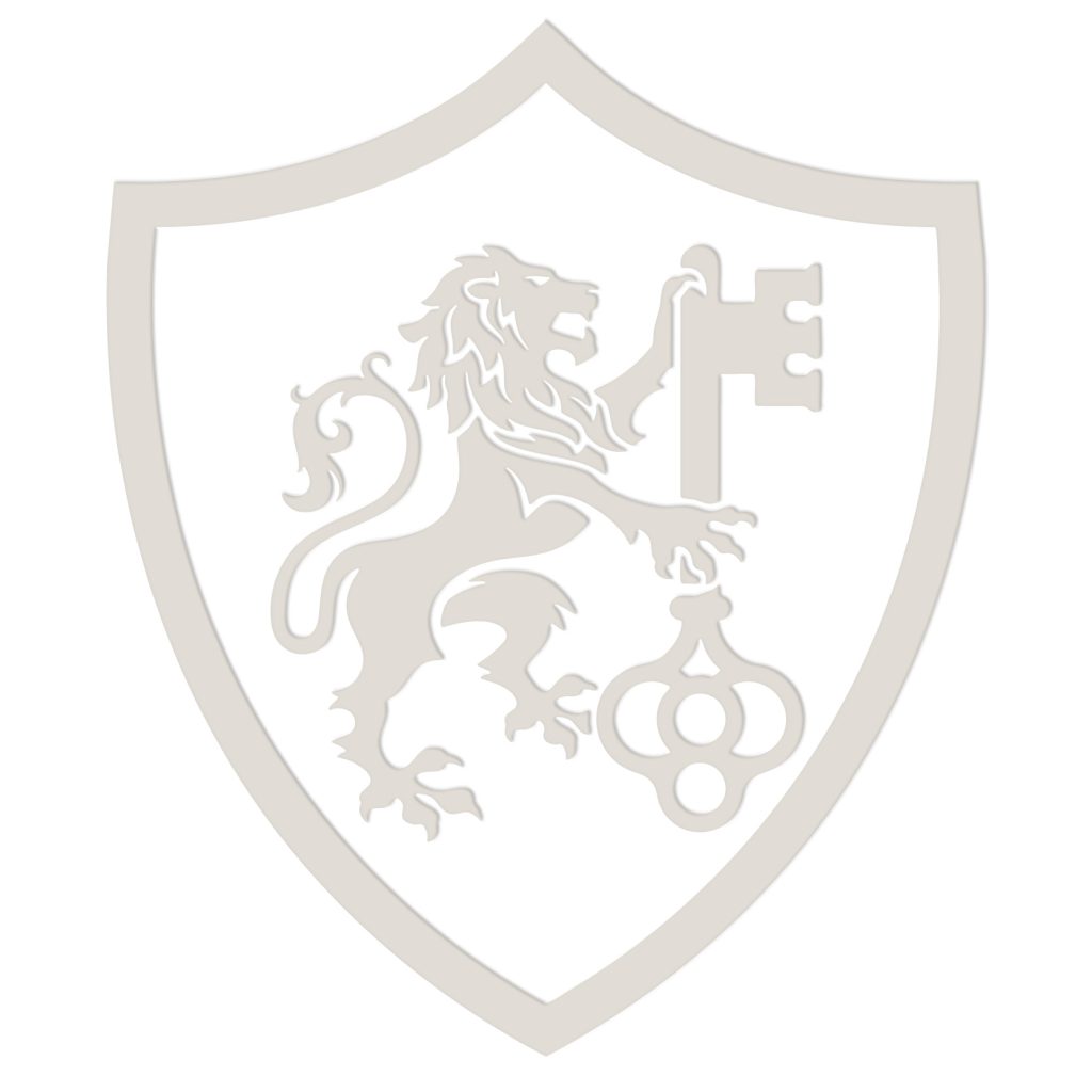 brand identity service icon
