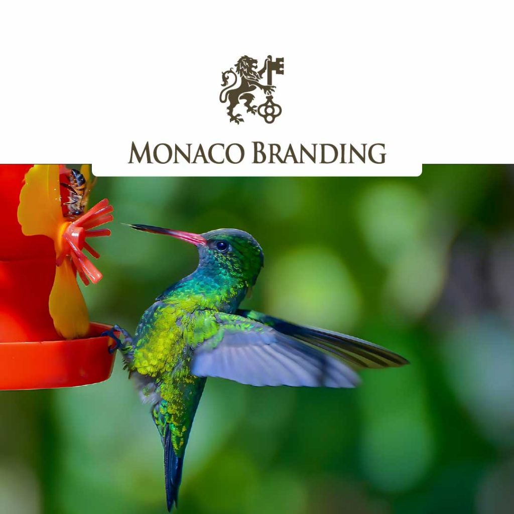 The Power of the Right Visuals: Why Your Brand Deserves More Than Stock Photos